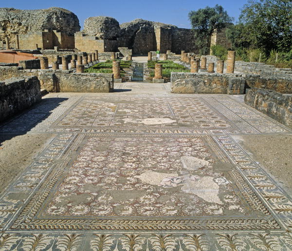 View of the ruins and a mosaic floor (photo)  from Roman