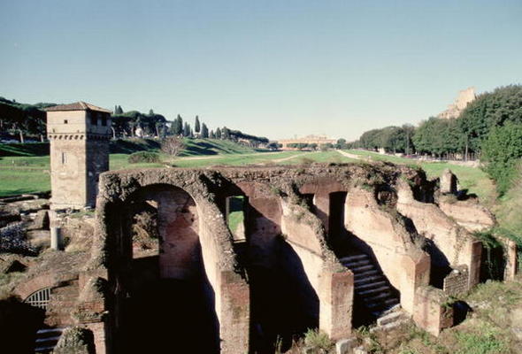 View of the stadium, Roman (photo) from Roman