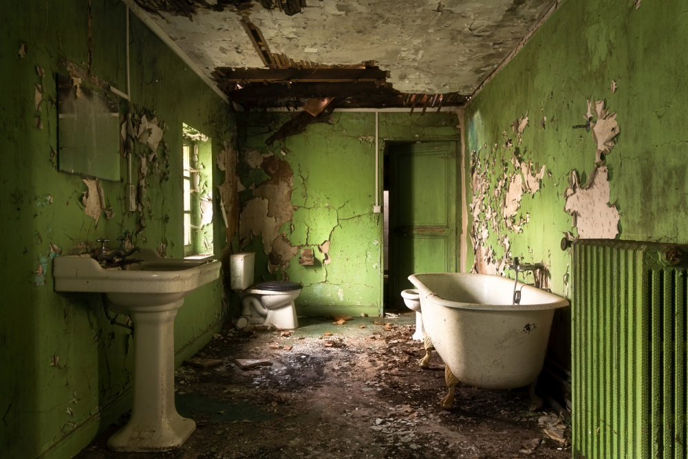 Green Bathroom from Roman Robroek