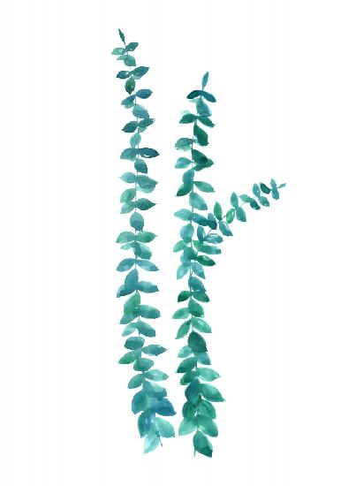 Watercolor eucalyptus branches in teal