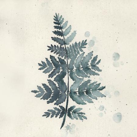 Teal watercolor fern 1