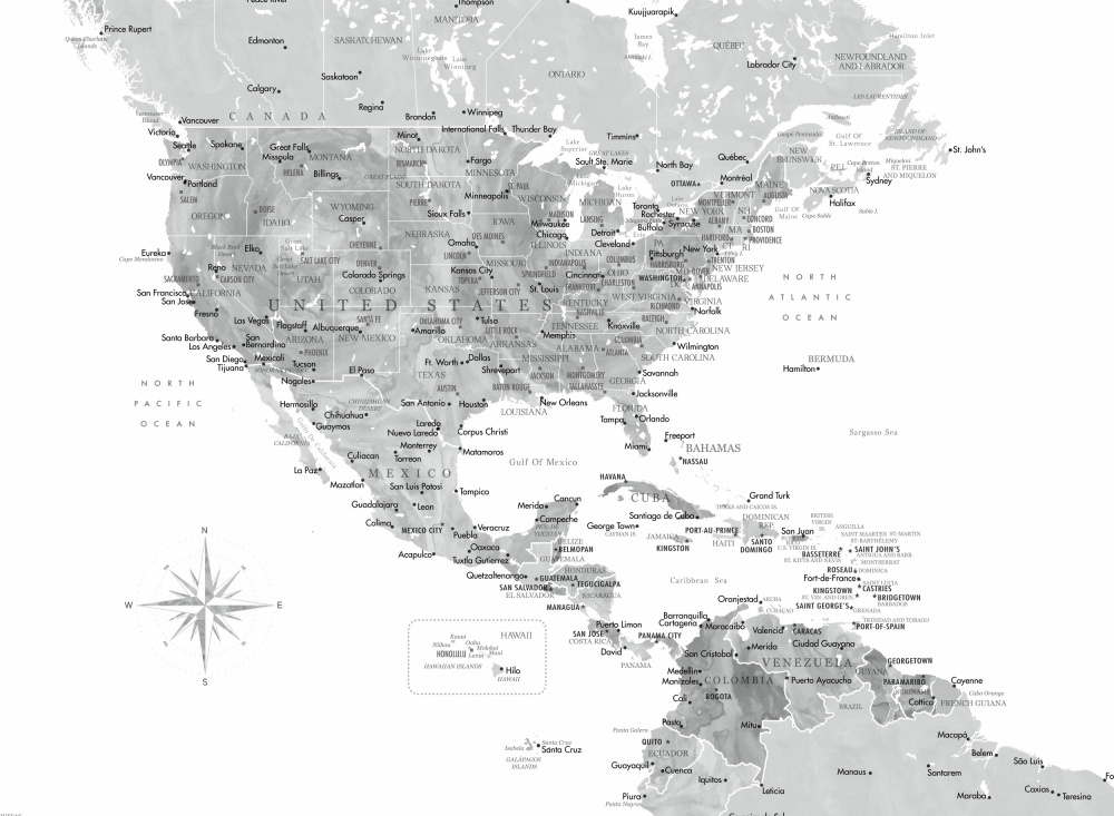 Gray map of USA and the Caribbean sea from Rosana Laiz Blursbyai