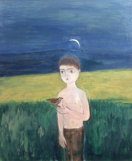 Boy with Bird, 2002 (acrylic on canvas)  from Roya  Salari