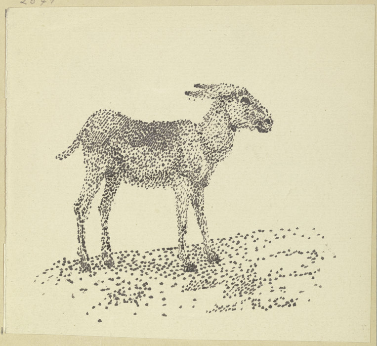 Donkey from Rudolf Gudden