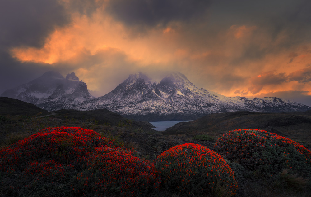 Fire Balls of Torres del Paine from Ruiqing P.