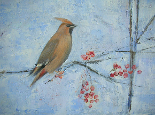 Waxwing from Ruth  Addinall