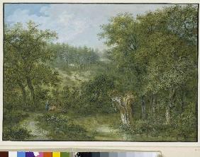 Woodland landscape.