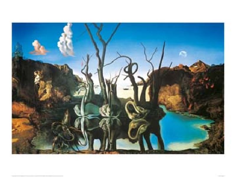 Reflections of Elephants from Salvador Dali