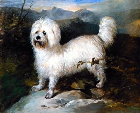 Small White Dog in a Landscape from Samuel Coleman