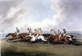 Horse Racing from "Orme's Collection of British Field Sport Prints"