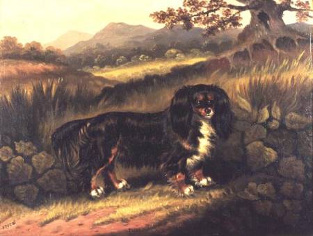 King Charles Spaniel 'Fuss' in a Landscape from Samuel Spode