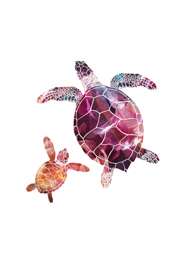 Abstract pink turtles from Sarah Manovski