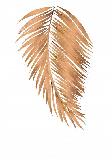 Copper gold palm, leaf 4