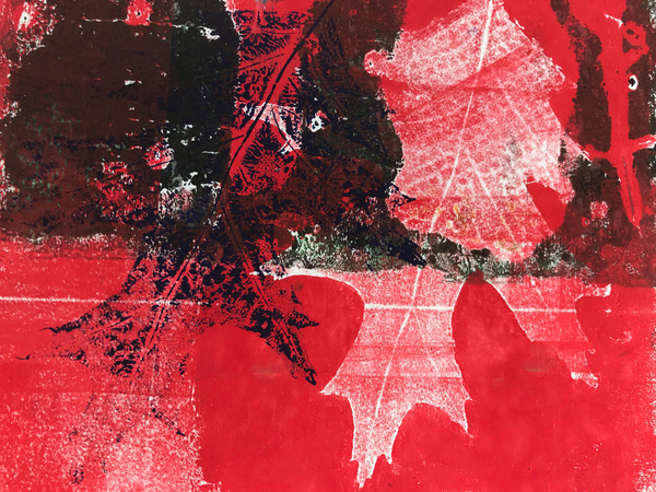 red leaf from Sarah Thompson-Engels
