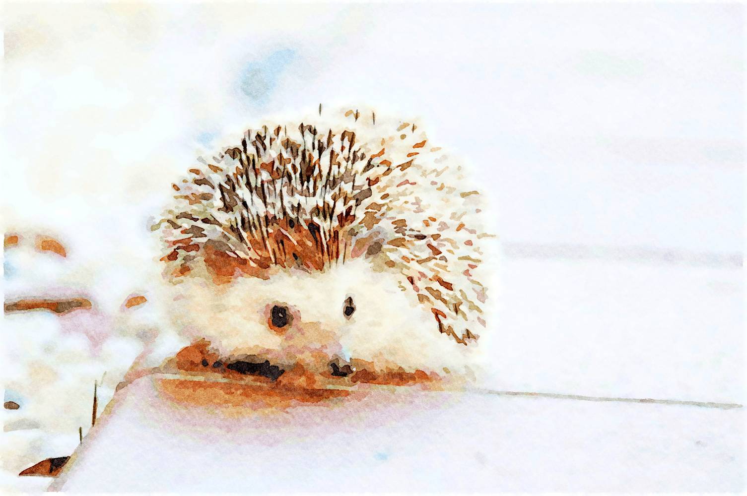 Hedgehog I from Saskia Ben Jemaa