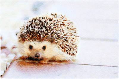 Hedgehog II