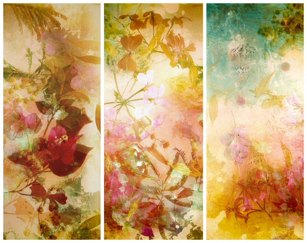 Flower abstractions  with mimosa, shells ,bougainvillea  floating in water.. Trilogy . from Saskia Dingemans