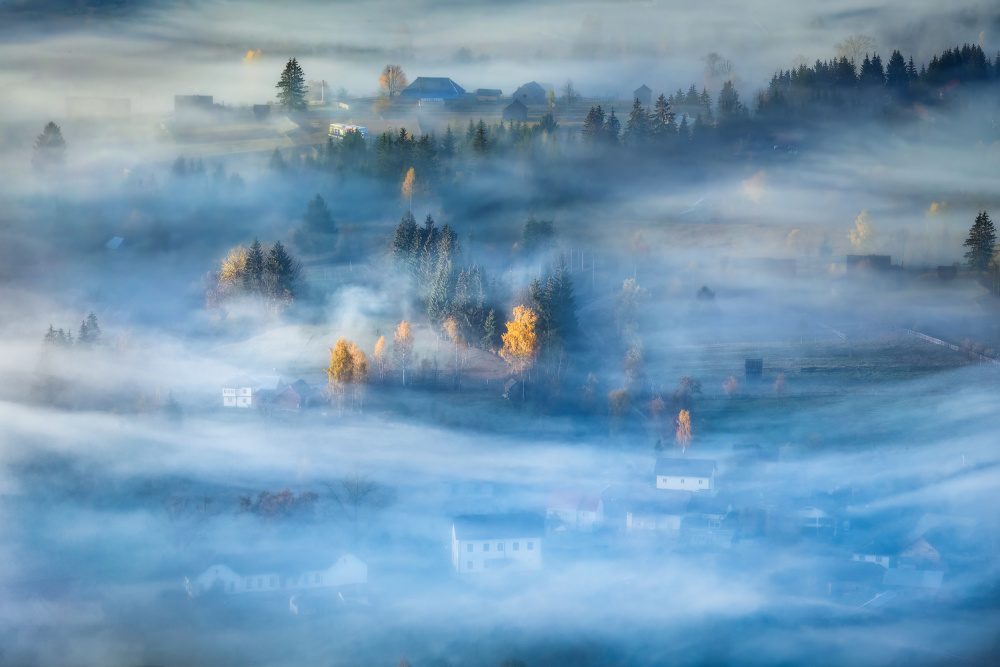Morning Mist from Sebastian Prioteasa