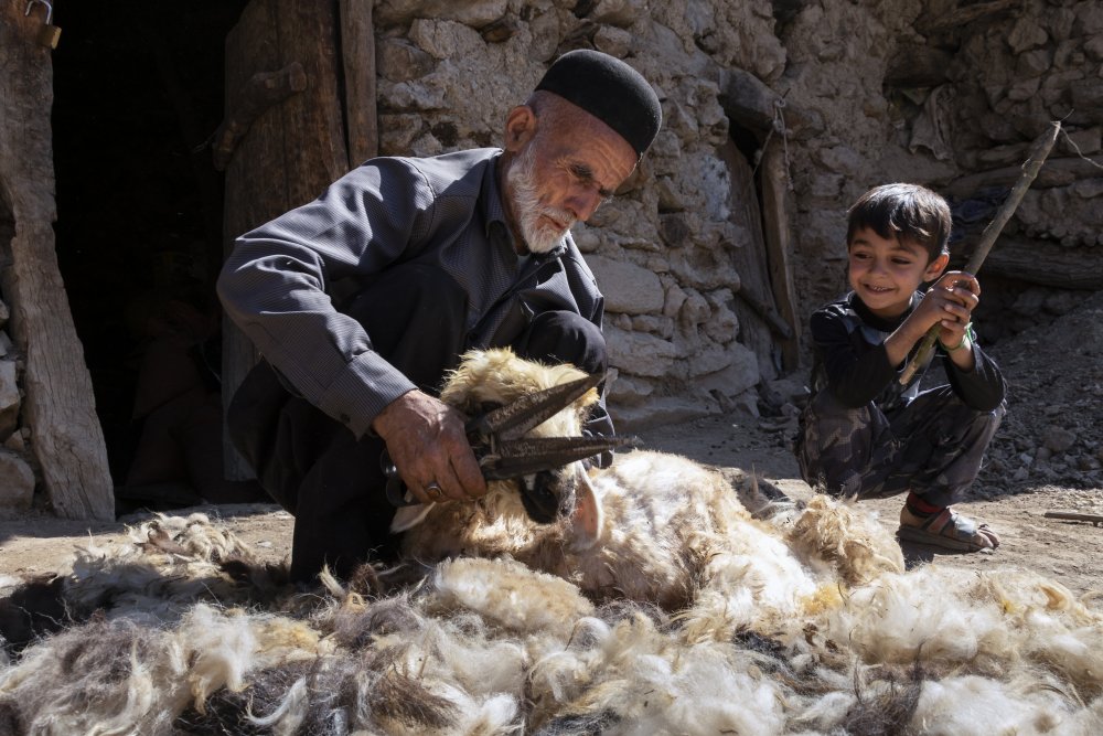 fleece from ShahinEbrahimi