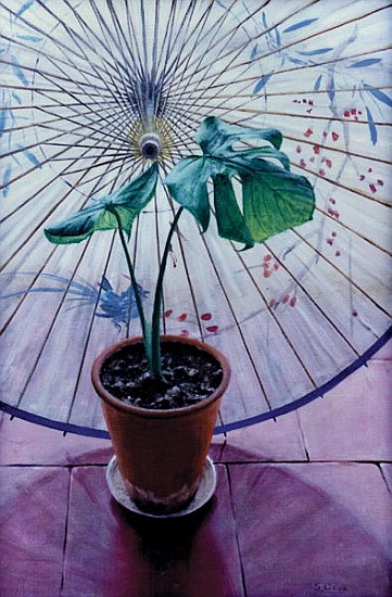 Chinese Umbrella (oil on canvas)  from Simon  Cook