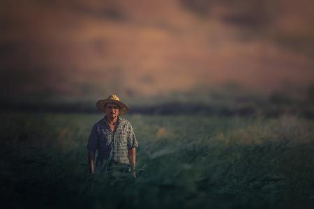 A Farmer Man...