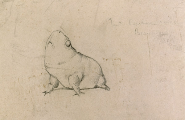 Bull Frog from Sir Edward Burne-Jones