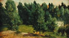 A Wooded Landscape