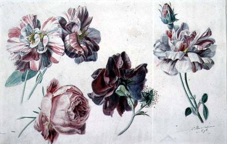 Roses from Sir Lawrence Alma-Tadema