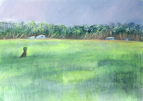 Rice Fields, Goa, India, 1997 (oil on paper)  from Sophia  Elliot