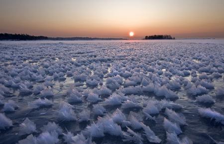 Frozen Sea