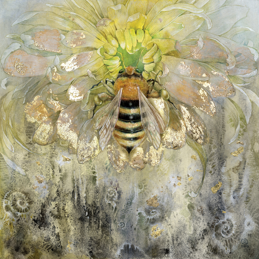 Honeybee from Stephanie Law