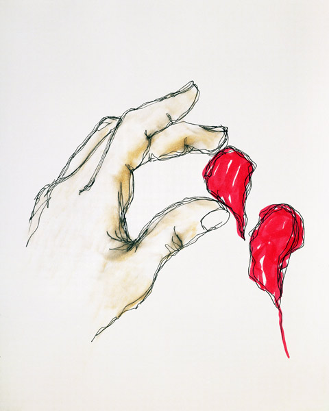 A Piece of Your Heart, 1996 (pen & w/c on paper)  from Stevie  Taylor