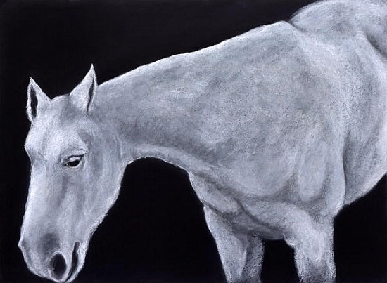 Ghost (pastel on paper)  from Stevie  Taylor