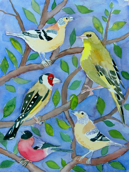 Finches from Mary Stubberfield