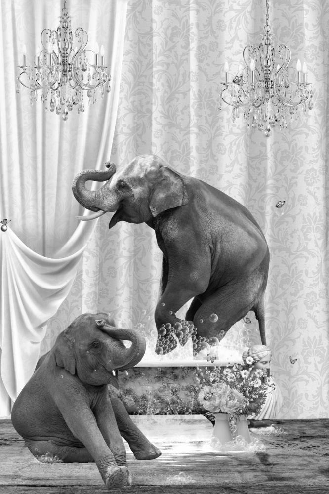 Elephants &amp; Bubbles Black &amp; White from Sue Skellern