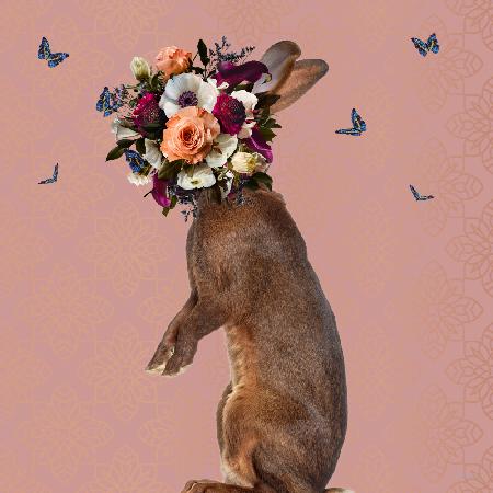 Spring Flower Bonnet On Rabbit