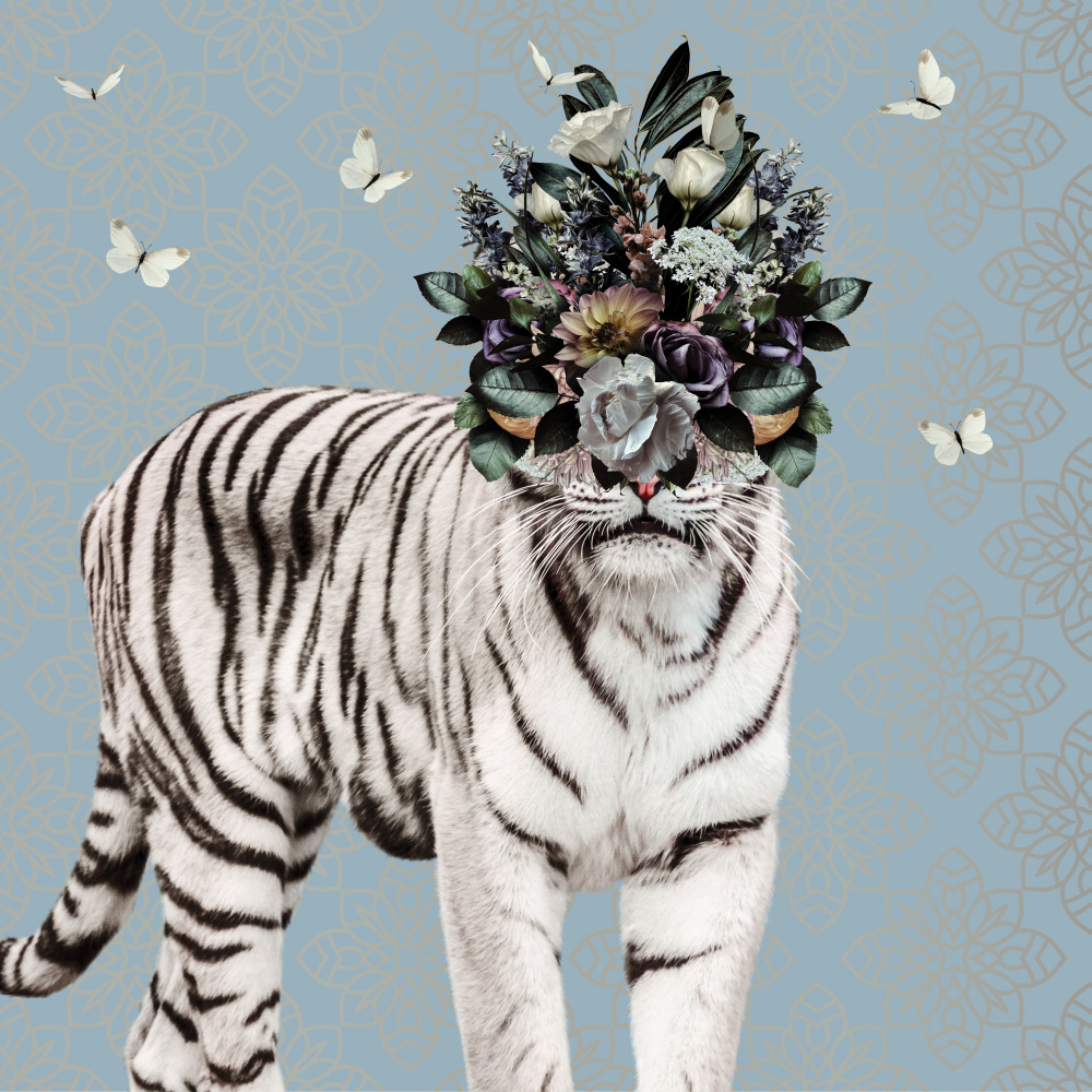 Spring Flower Bonnet On White Tiger from Sue Skellern