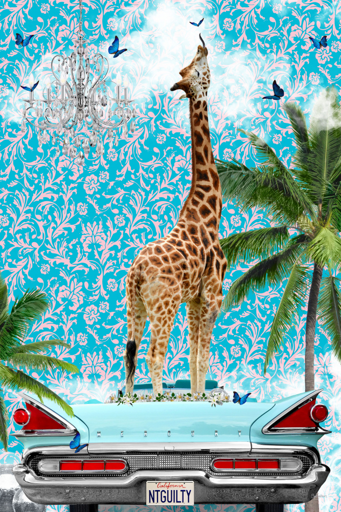 Giraffe California Dream from Sue Skellern