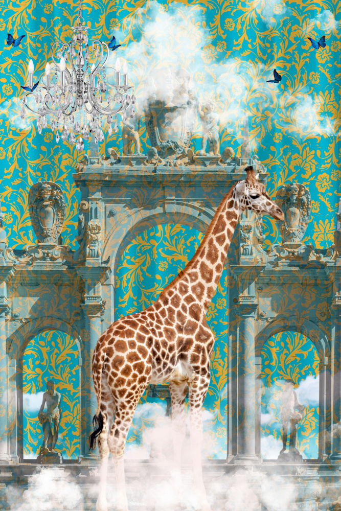 Giraffe Adventures from Sue Skellern