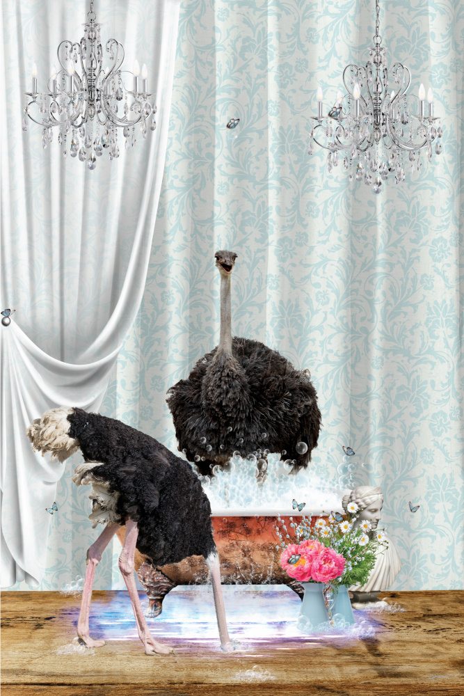 Ostriches &amp; Bubbles from Sue Skellern