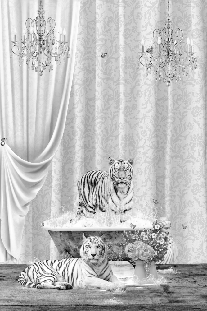 White Tigers &amp; Bubbles Black &amp; White from Sue Skellern