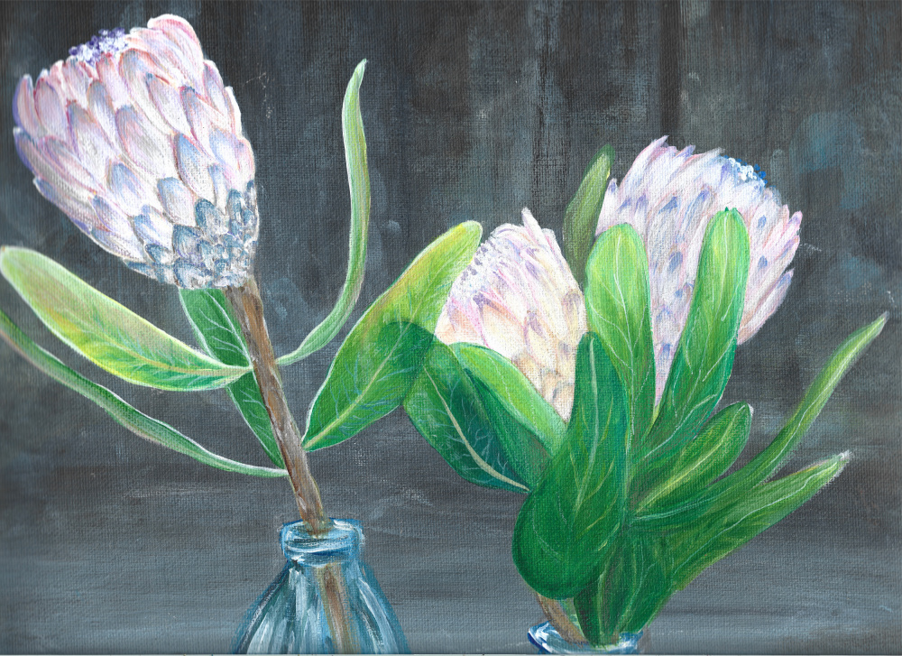 Protea from Sunet Theron