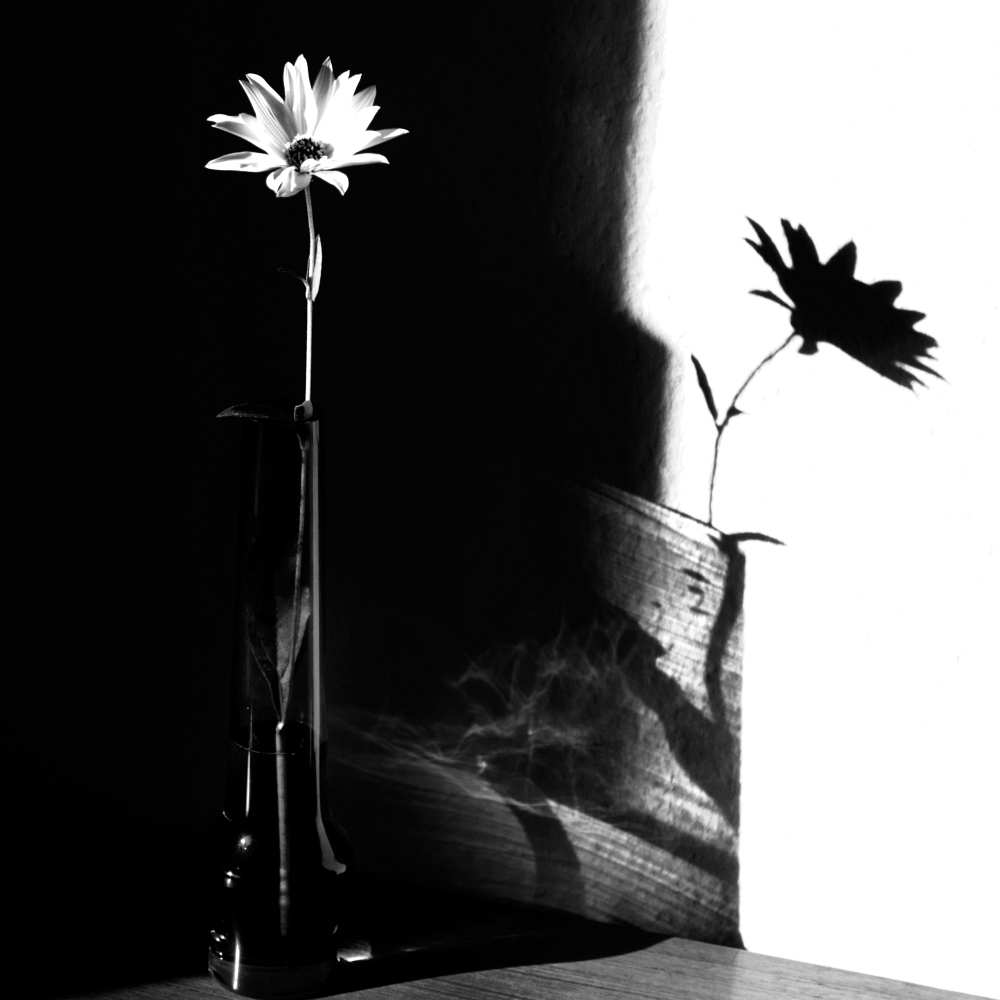 light and shadow from Susanne Wolf