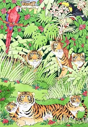 Tiger Jungle 