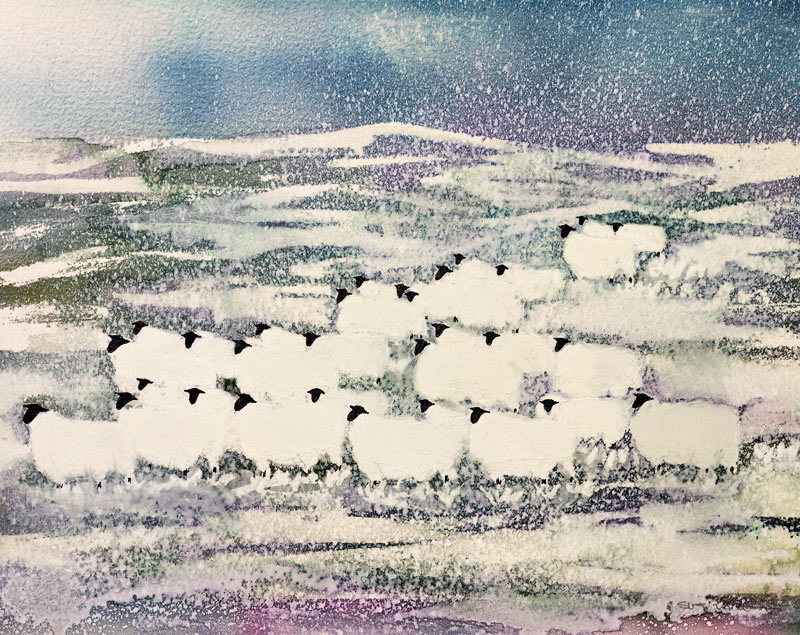 Sheep in Winter  from Suzi  Kennett