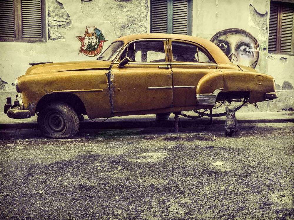 Old car/cat from Svetlin Yosifov