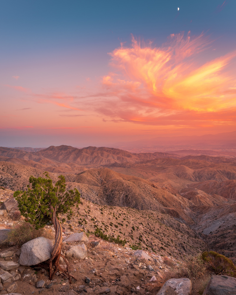 Desert Sunset from Syed Iqbal
