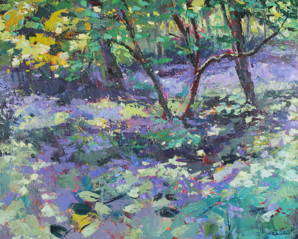 Bluebell Glade from Sylvia  Paul