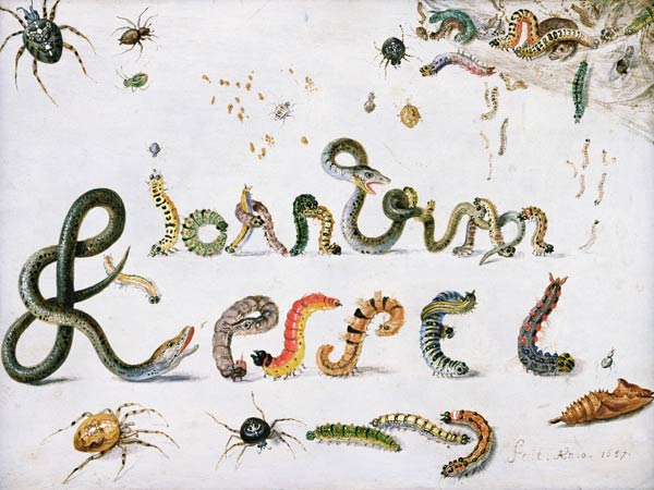 Garden and other spiders, caterpillars spell the artist''s name, 1657 (oil on copper) from the Elder Kessel Jan van