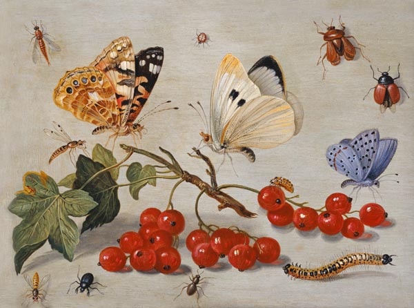 A still life with sprig of Redcurrants, butterflies, beetles, caterpillar and insects (oil on copper from the Elder Kessel Jan van